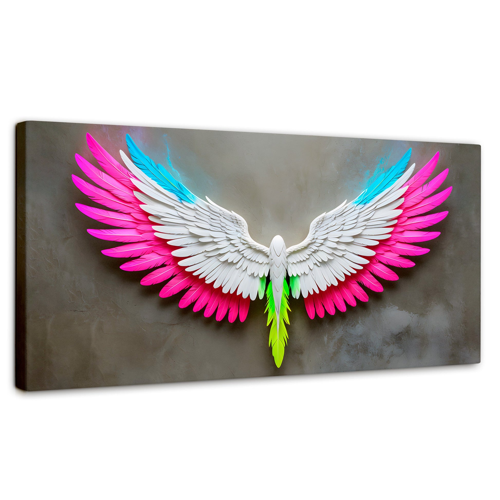 Cuadros Decorativos Canvas Revolution | Angel Alas De Luz | Panoramico | Portada | Marco SinMarco