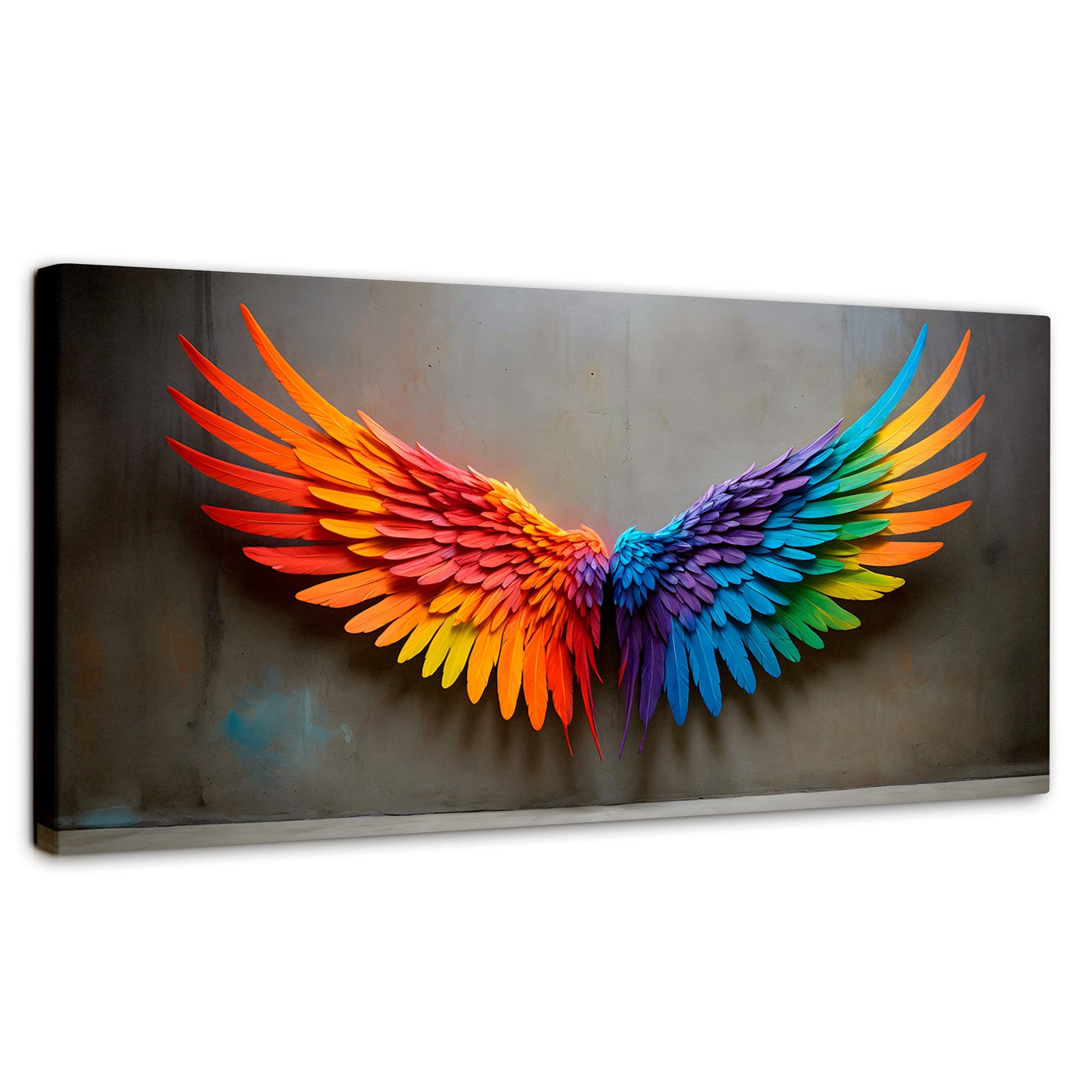 Cuadros Decorativos Canvas Revolution | Angel Vuelo Sutil | Panoramico | Portada | Marco SinMarco
