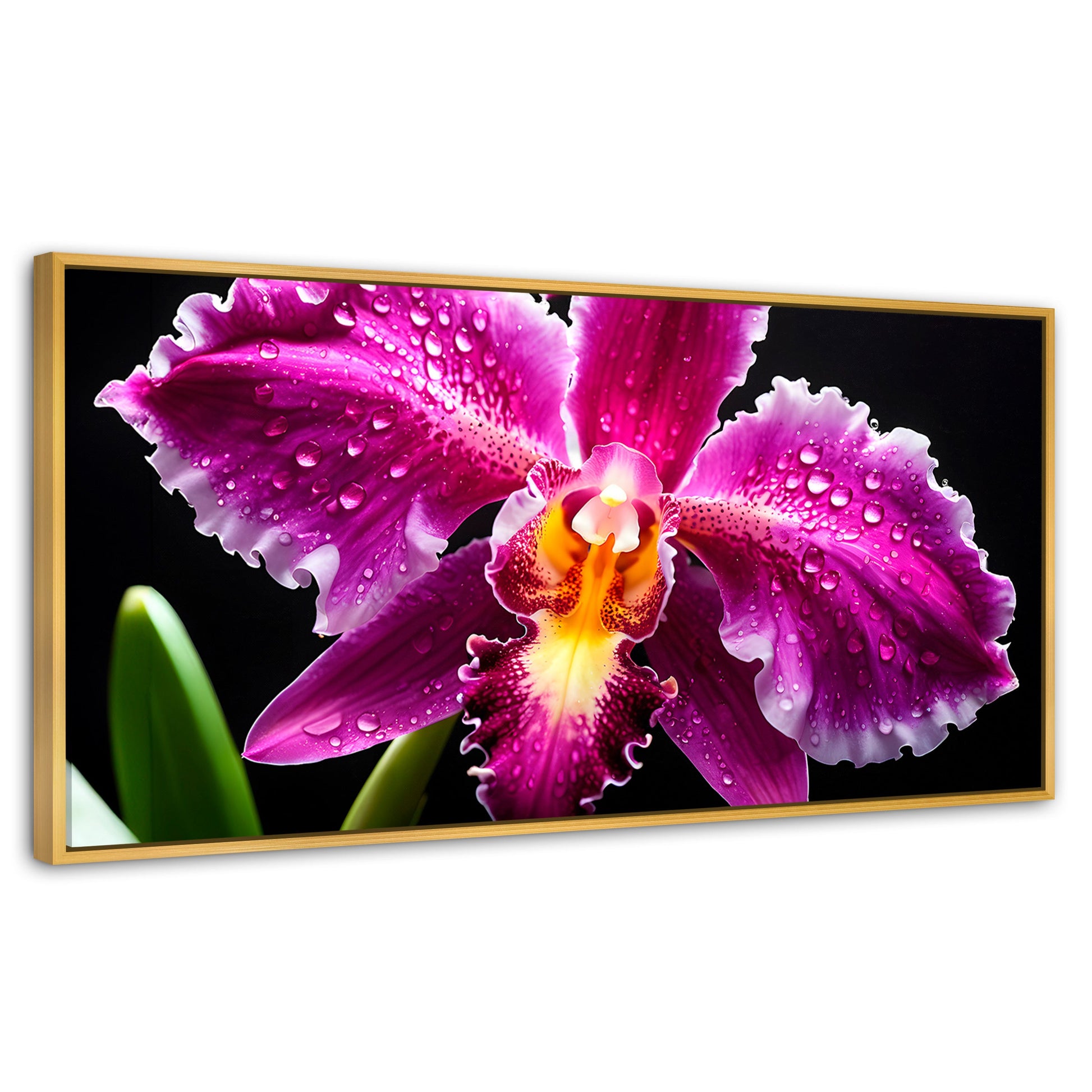 Cuadros Decorativos Canvas Revolution | Brillo De Cattleya | Panoramico | Portada | Marco Dorado