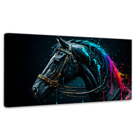 Cuadros Decorativos Canvas Revolution | Caballo Cosmico | Panoramico | Portada | Marco SinMarco