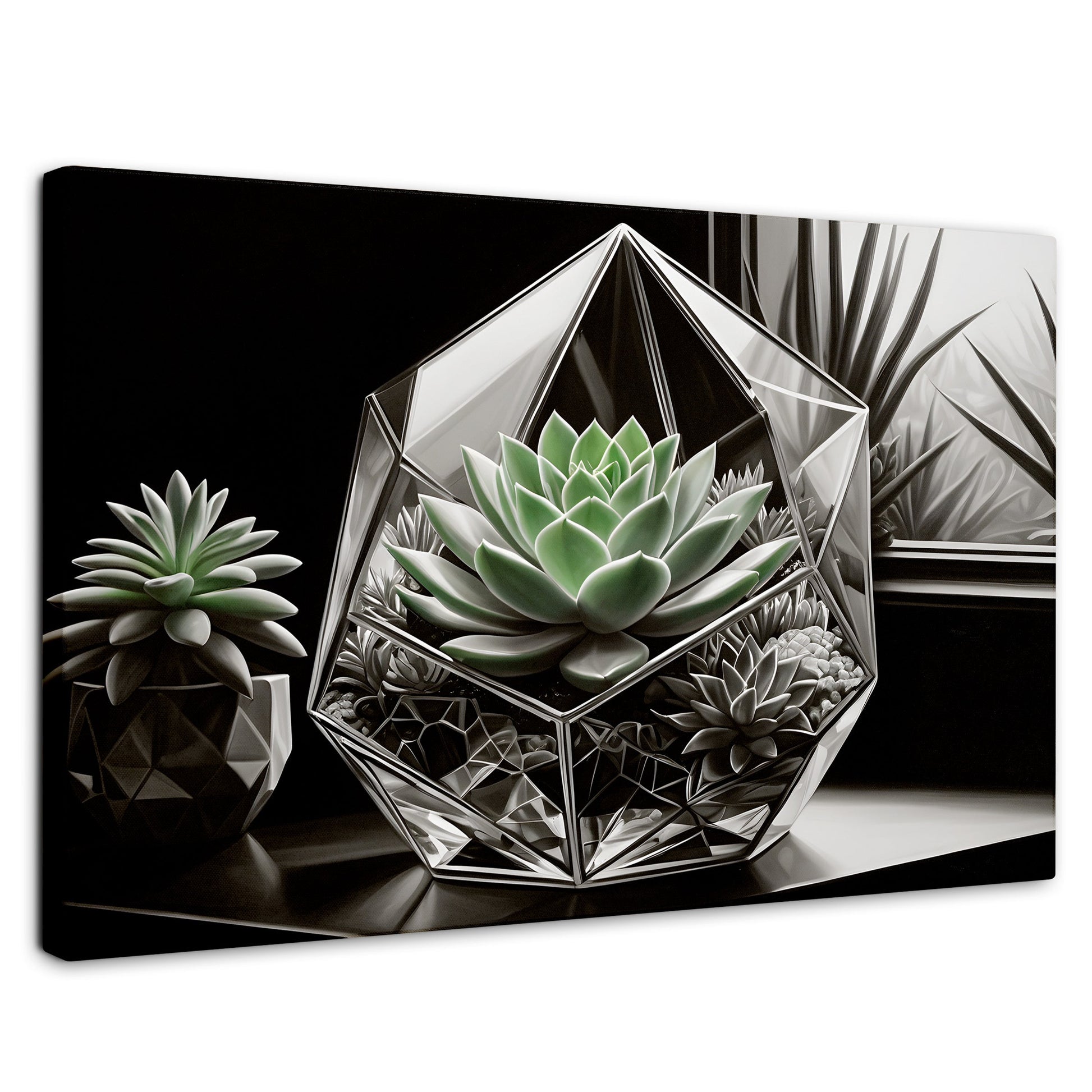 Cuadros Decorativos Canvas Revolution | Cactus Esmeralda | Rectangular | Portada | Marco SinMarco