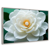 Cuadros Decorativos Canvas Revolution | Camelia Eterna Flor | Rectangular | Portada | Marco Plateado