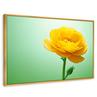 Cuadros Decorativos Canvas Revolution | Canto De Ranunculo | Rectangular | Portada | Marco Dorado