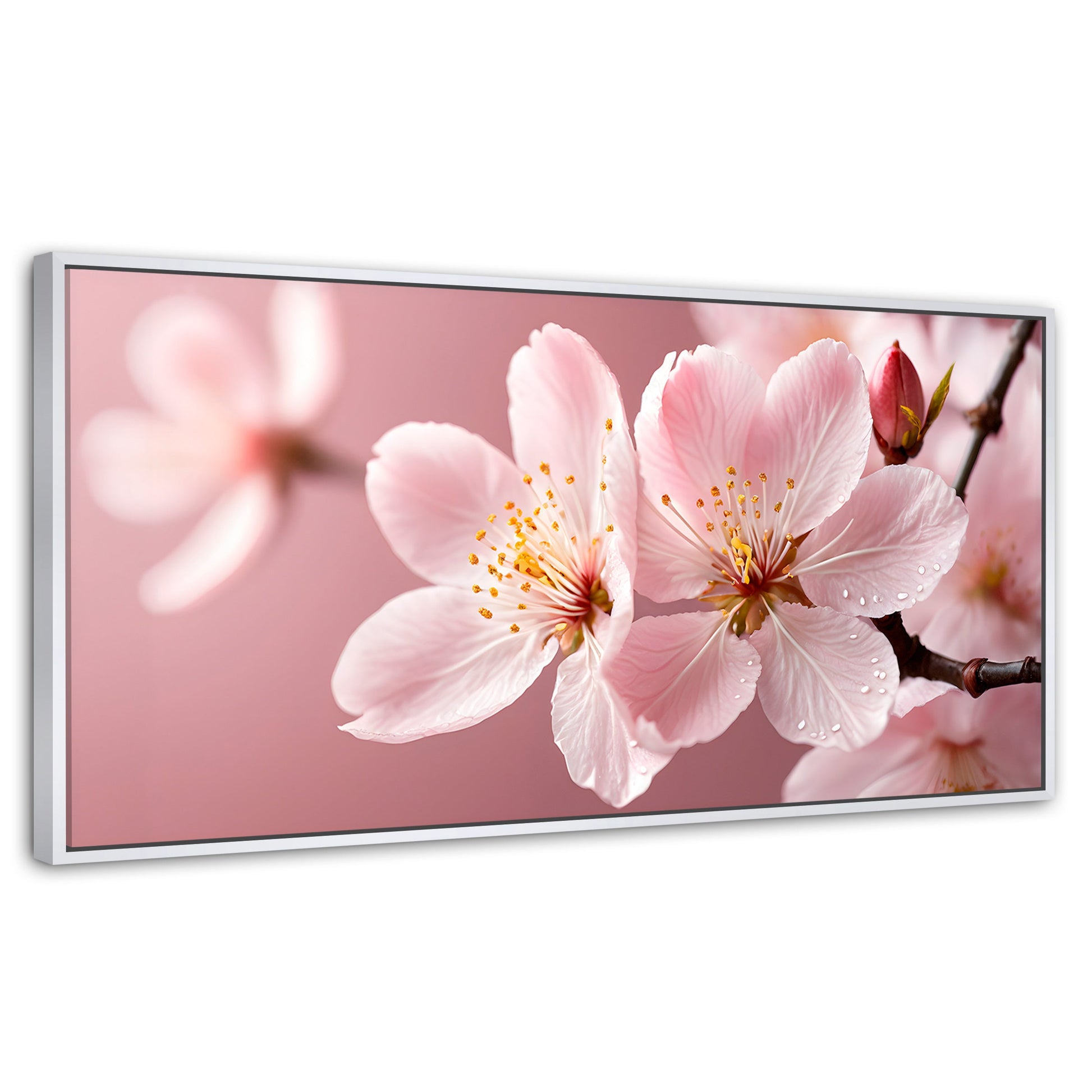 Cuadros Decorativos Canvas Revolution | Cerezo Rosado Flor | Panoramico | Portada | Marco Blanco