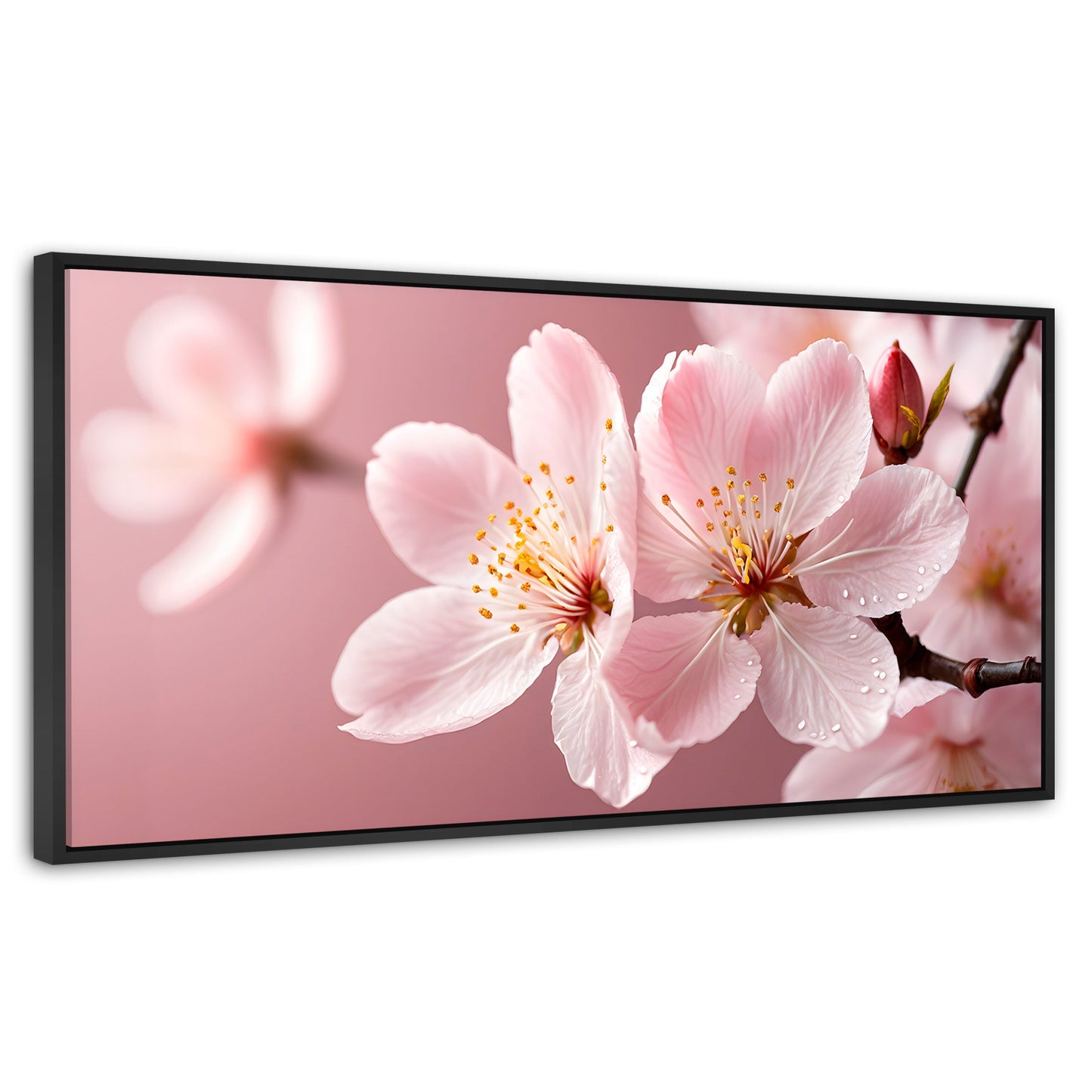 Cuadros Decorativos Canvas Revolution | Cerezo Rosado Flor | Panoramico | Portada | Marco Negro