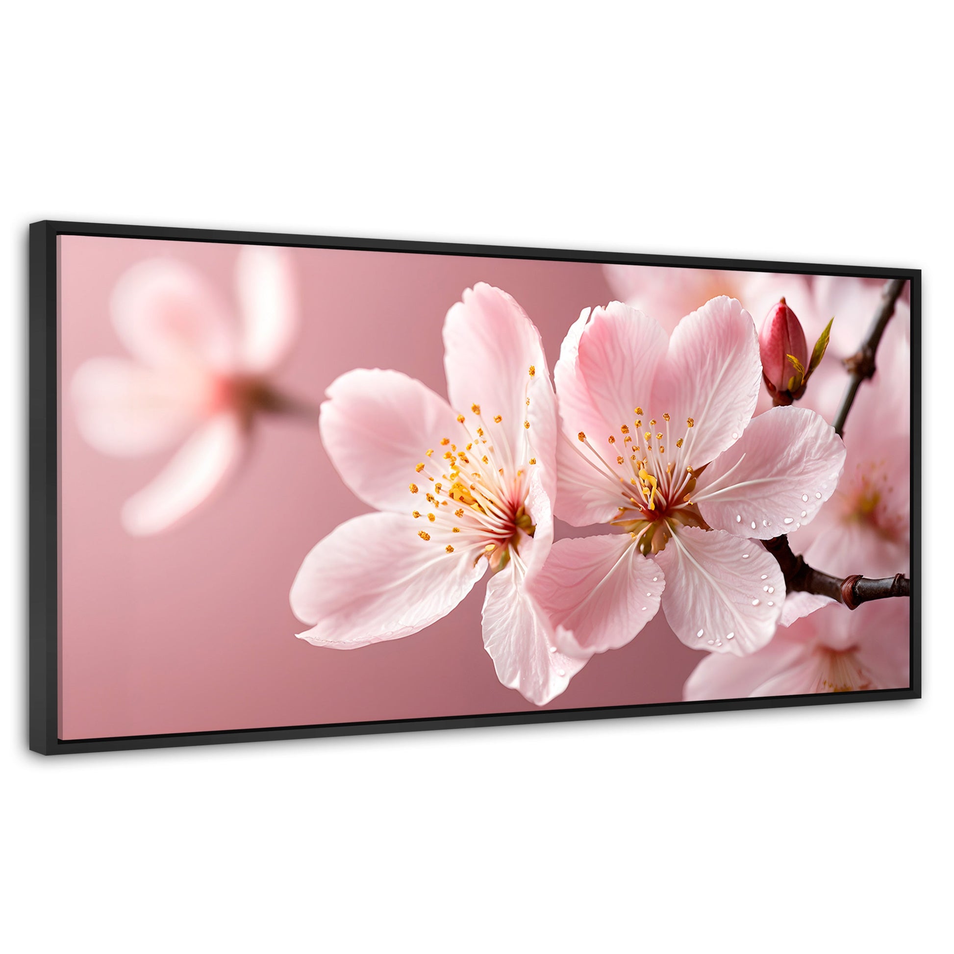 Cuadros Decorativos Canvas Revolution | Cerezo Rosado Flor | Panoramico | Portada | Marco Negro