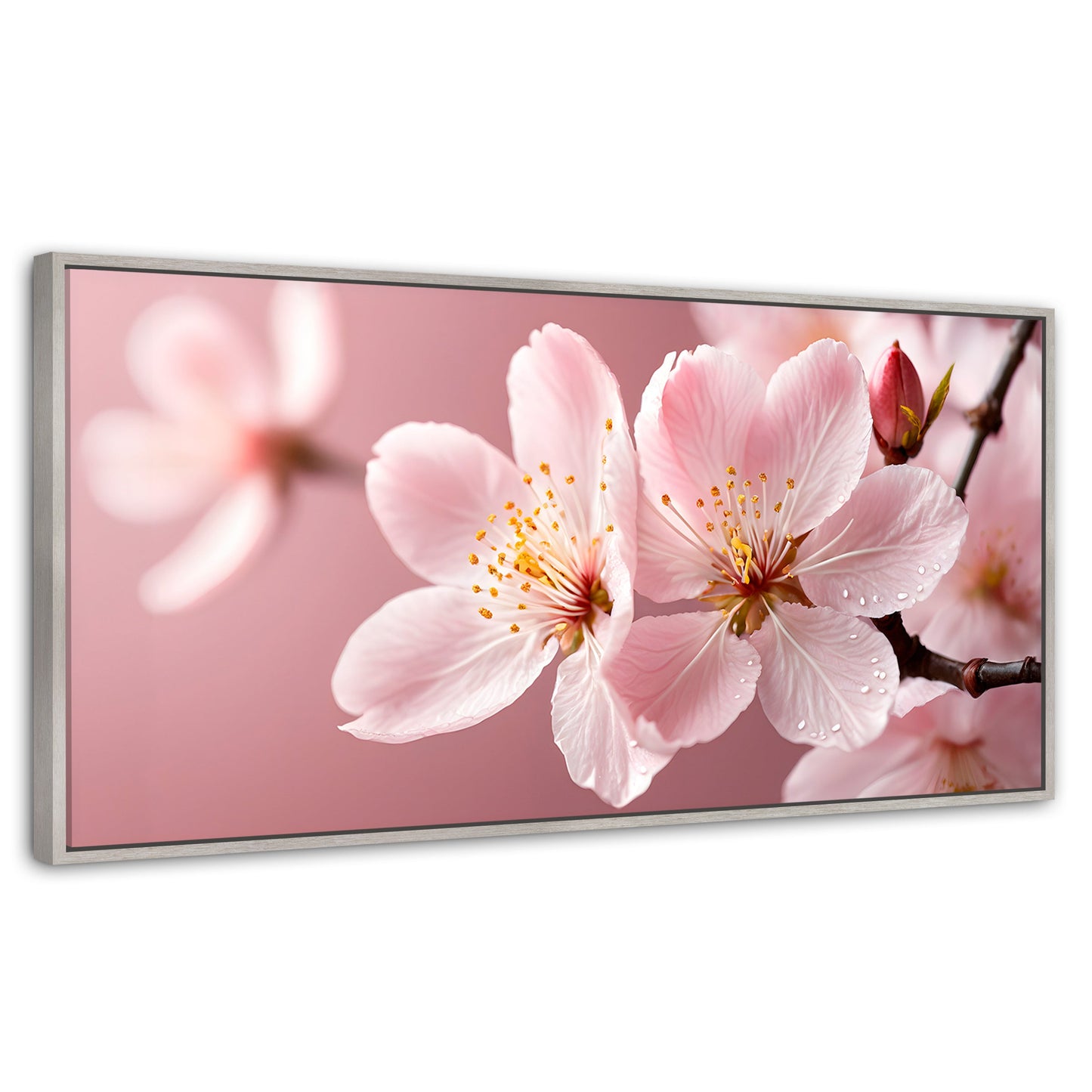 Cuadros Decorativos Canvas Revolution | Cerezo Rosado Flor | Panoramico | Portada | Marco Plateado