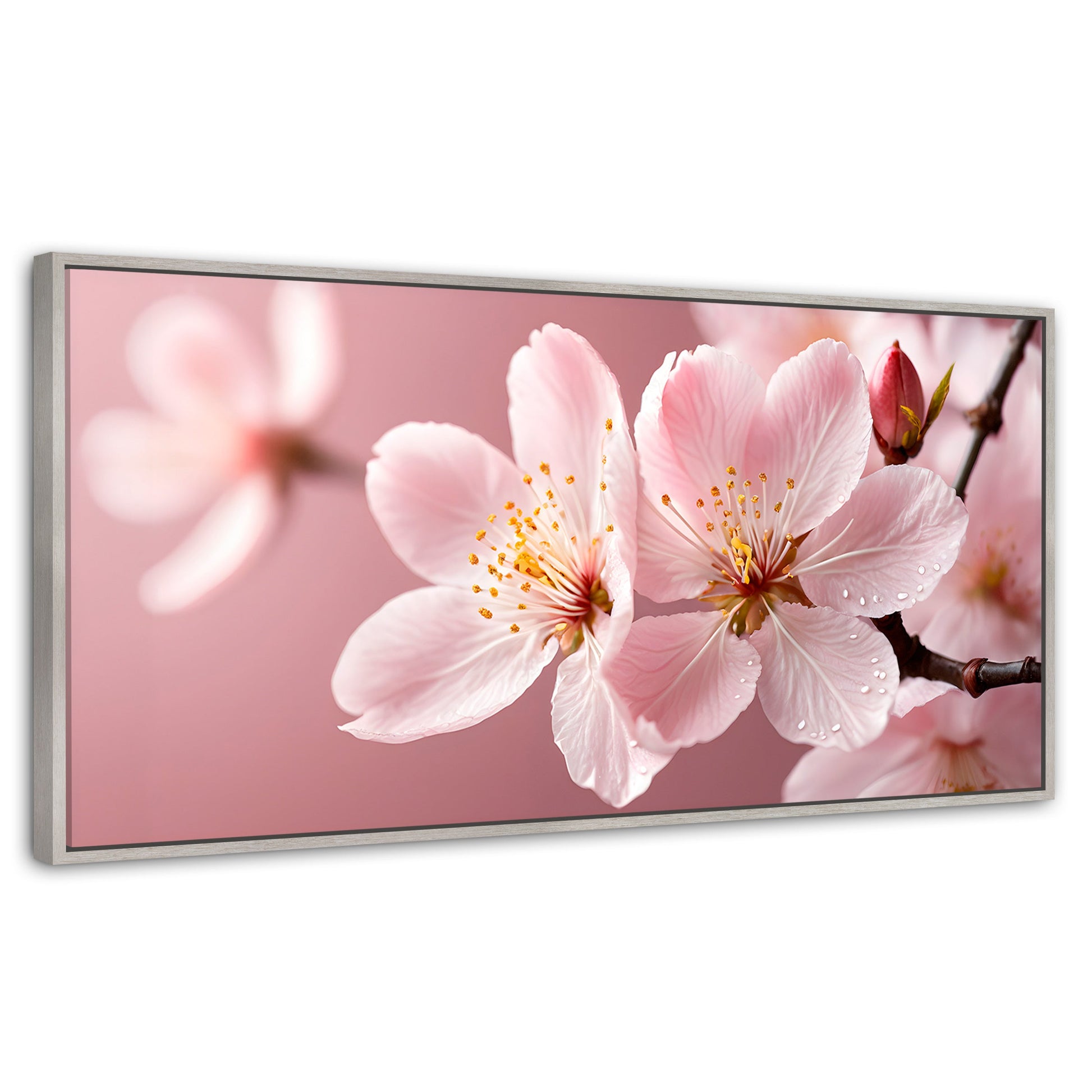 Cuadros Decorativos Canvas Revolution | Cerezo Rosado Flor | Panoramico | Portada | Marco Plateado