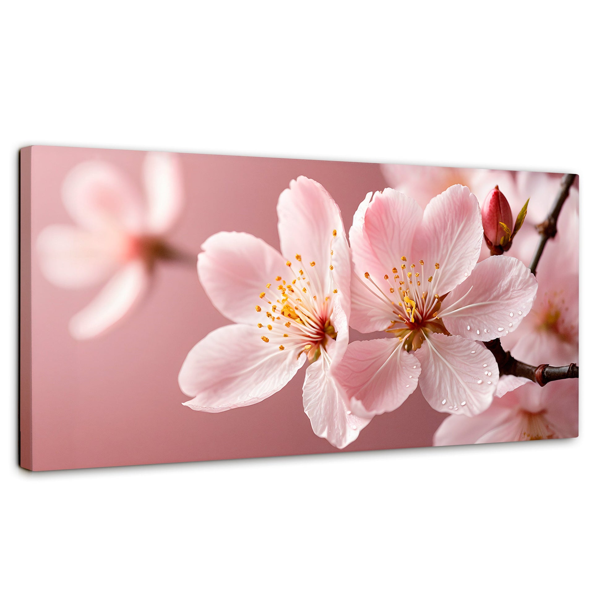 Cuadros Decorativos Canvas Revolution | Cerezo Rosado Flor | Panoramico | Portada | Marco SinMarco