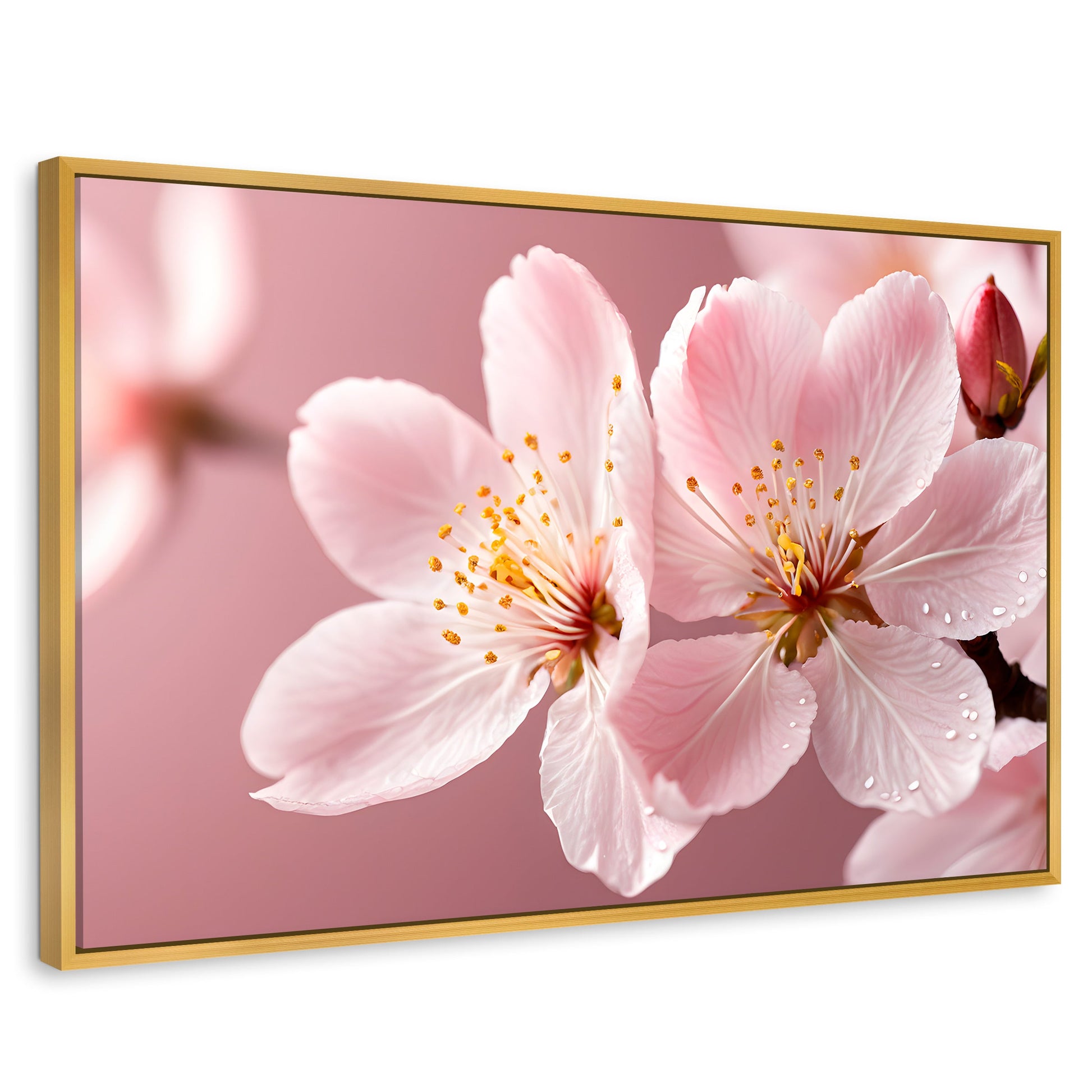 Cuadros Decorativos Canvas Revolution | Cerezo Rosado Flor | Rectangular | Portada | Marco Dorado