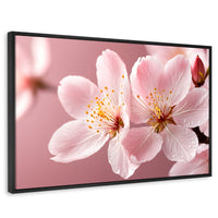 Cuadros Decorativos Canvas Revolution | Cerezo Rosado Flor | Rectangular | Portada | Marco Negro