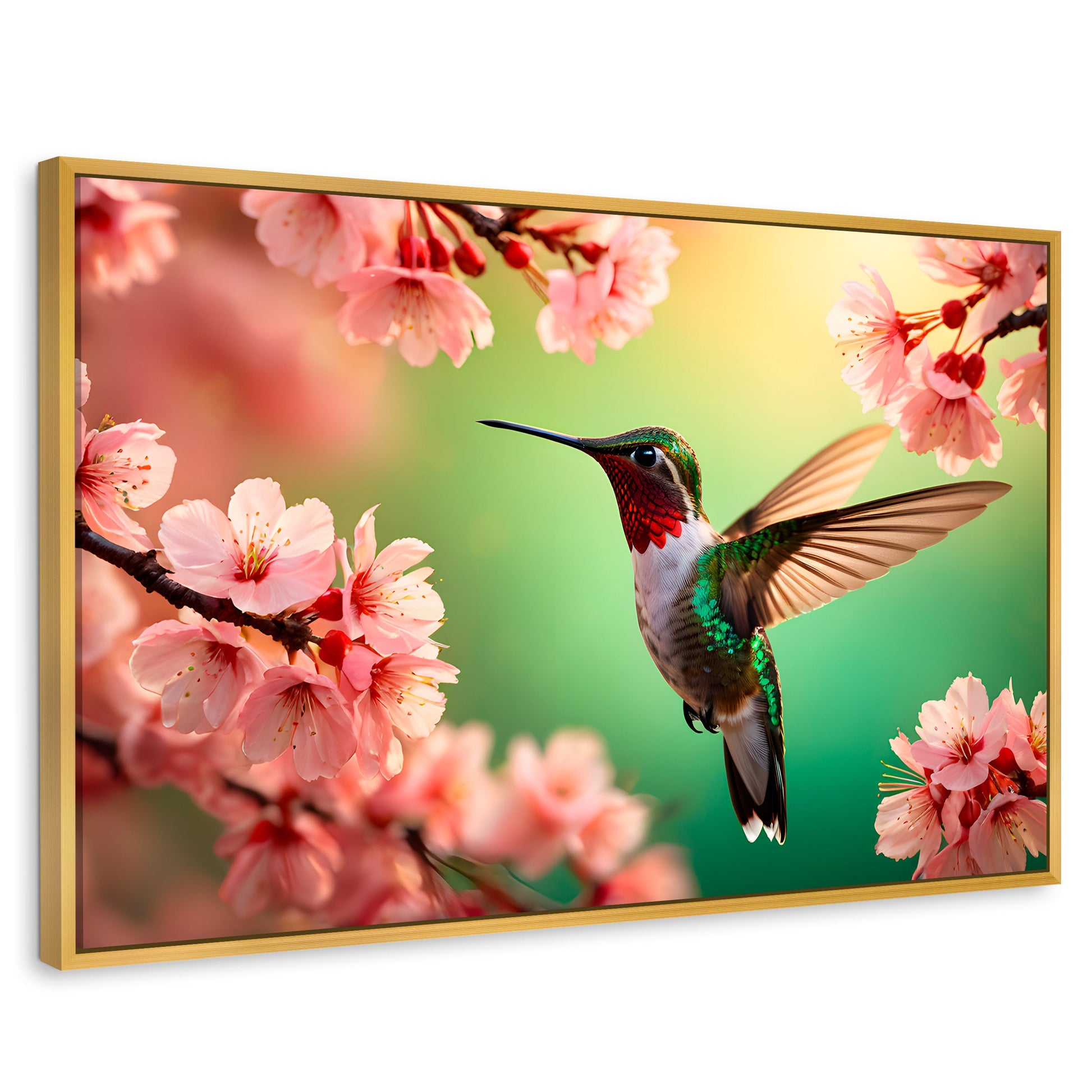 Cuadros Decorativos Canvas Revolution | Colibri Danza Flor | Rectangular | Portada | Marco Dorado