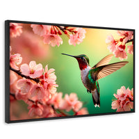 Cuadros Decorativos Canvas Revolution | Colibri Danza Flor | Rectangular | Portada | Marco Negro