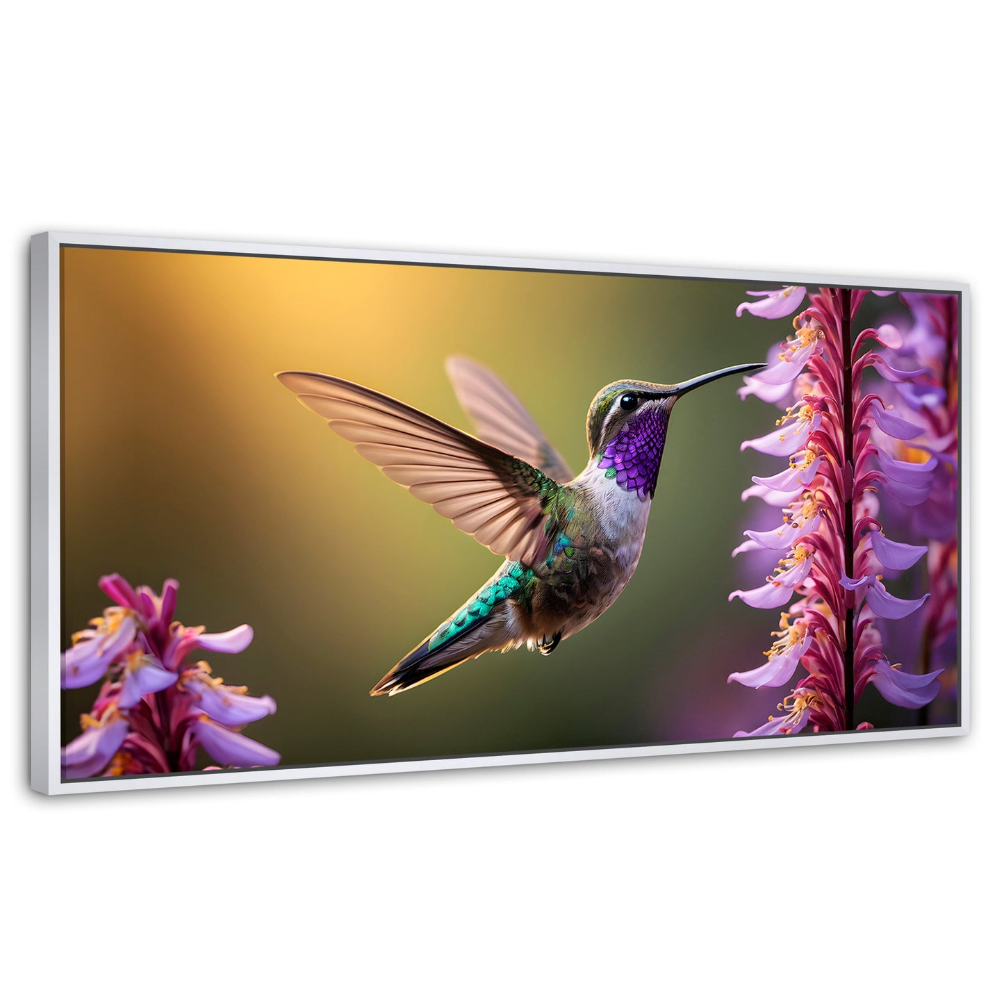 Cuadros Decorativos Canvas Revolution | Colibri Elegante | Panoramico | Portada | Marco Dorado