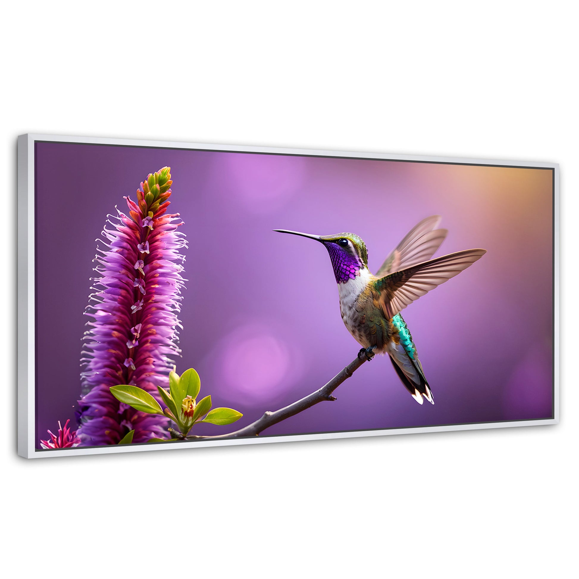 Cuadros Decorativos Canvas Revolution | Colibri Floresta | Panoramico | Portada | Marco Dorado