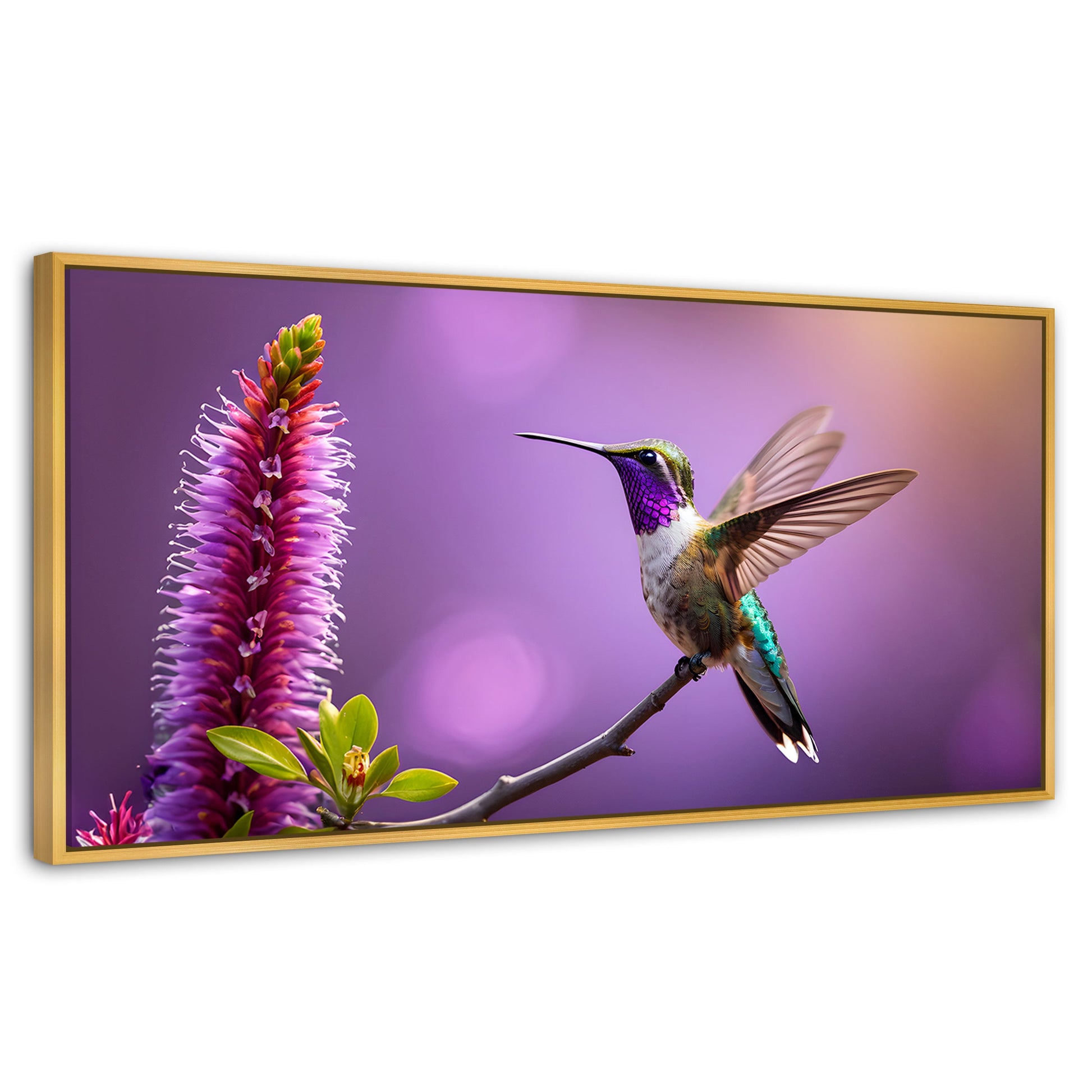 Cuadros Decorativos Canvas Revolution | Colibri Floresta | Panoramico | Portada | Marco Madera