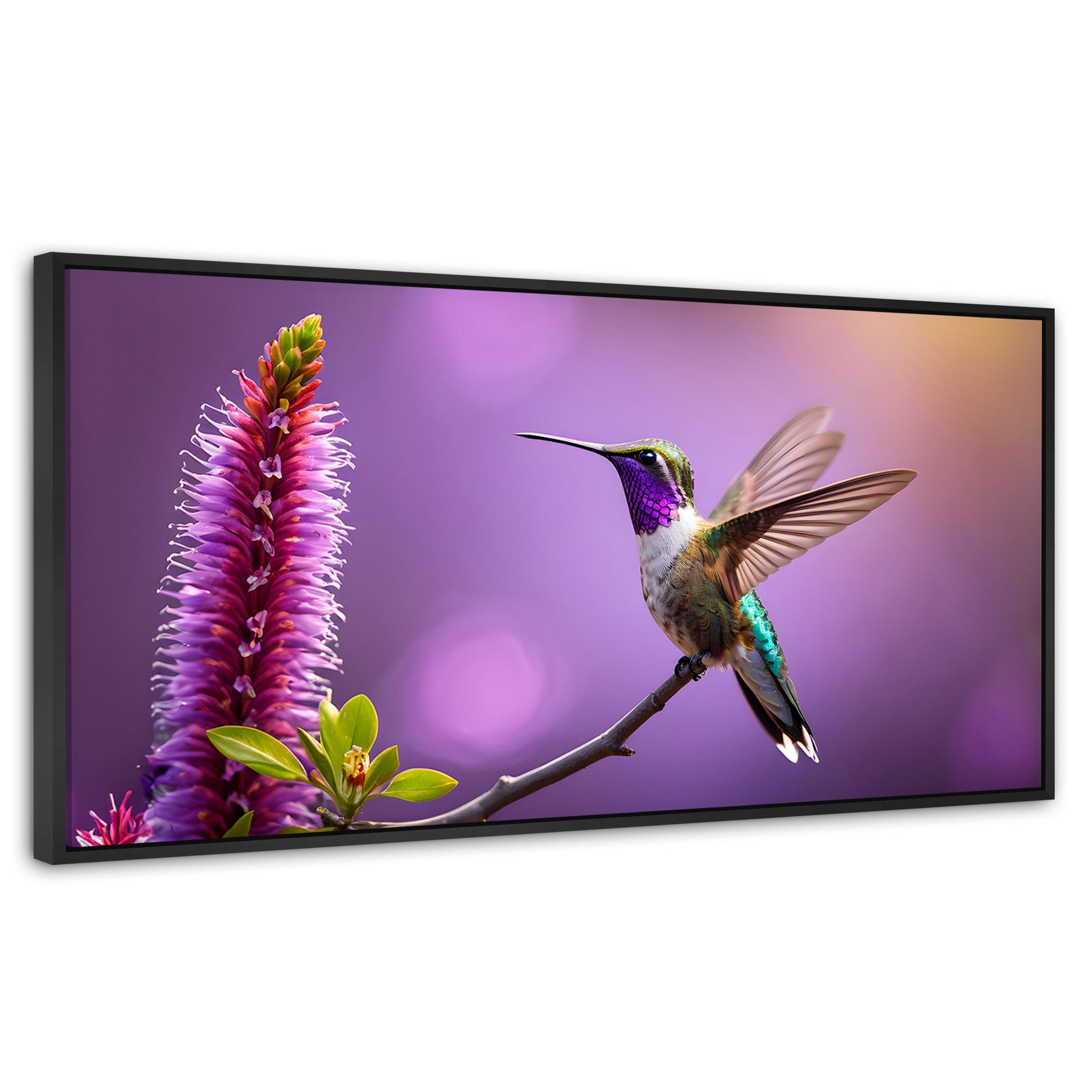 Cuadros Decorativos Canvas Revolution | Colibri Floresta | Panoramico | Portada | Marco Plateado