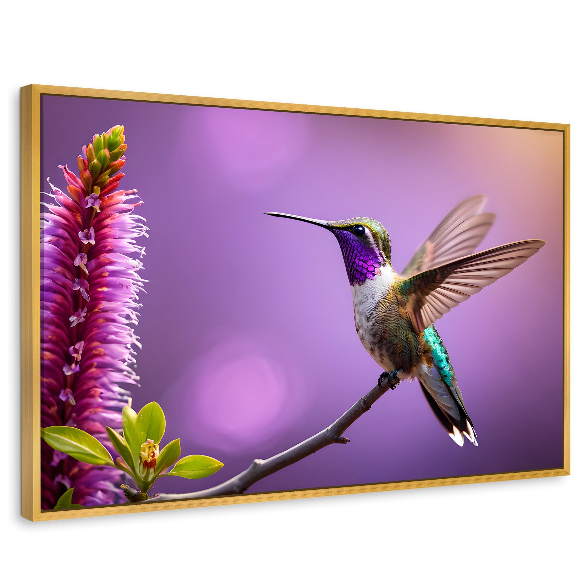 Cuadros Decorativos Canvas Revolution | Colibri Floresta | Rectangular | Portada | Marco Dorado