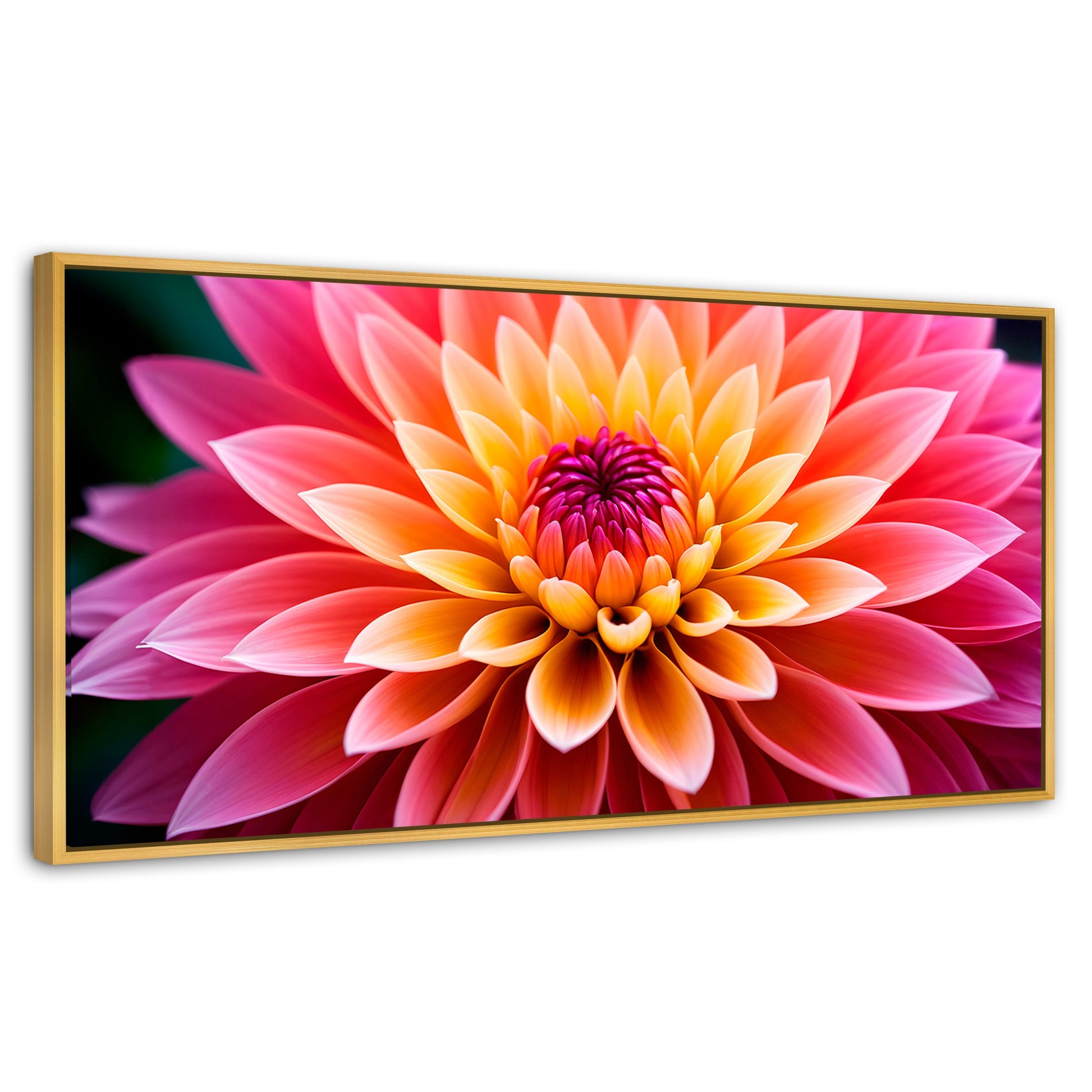 Cuadros Decorativos Canvas Revolution | Dahlia Vibrante | Panoramico | Portada | Marco Dorado