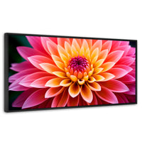 Cuadros Decorativos Canvas Revolution | Dahlia Vibrante | Panoramico | Portada | Marco Negro