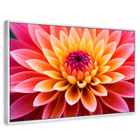 Cuadros Decorativos Canvas Revolution | Dahlia Vibrante | Rectangular | Portada | Marco Blanco