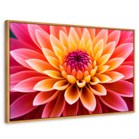 Cuadros Decorativos Canvas Revolution | Dahlia Vibrante | Rectangular | Portada | Marco Madera