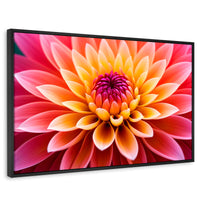 Cuadros Decorativos Canvas Revolution | Dahlia Vibrante | Rectangular | Portada | Marco Negro