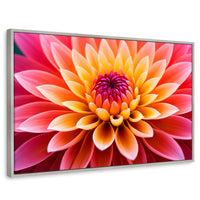 Cuadros Decorativos Canvas Revolution | Dahlia Vibrante | Rectangular | Portada | Marco Plateado