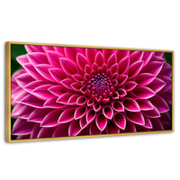 Cuadros Decorativos Canvas Revolution | Dalia Magenta Flor | Panoramico | Portada | Marco Dorado