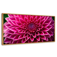 Cuadros Decorativos Canvas Revolution | Dalia Magenta Flor | Panoramico | Portada | Marco Madera