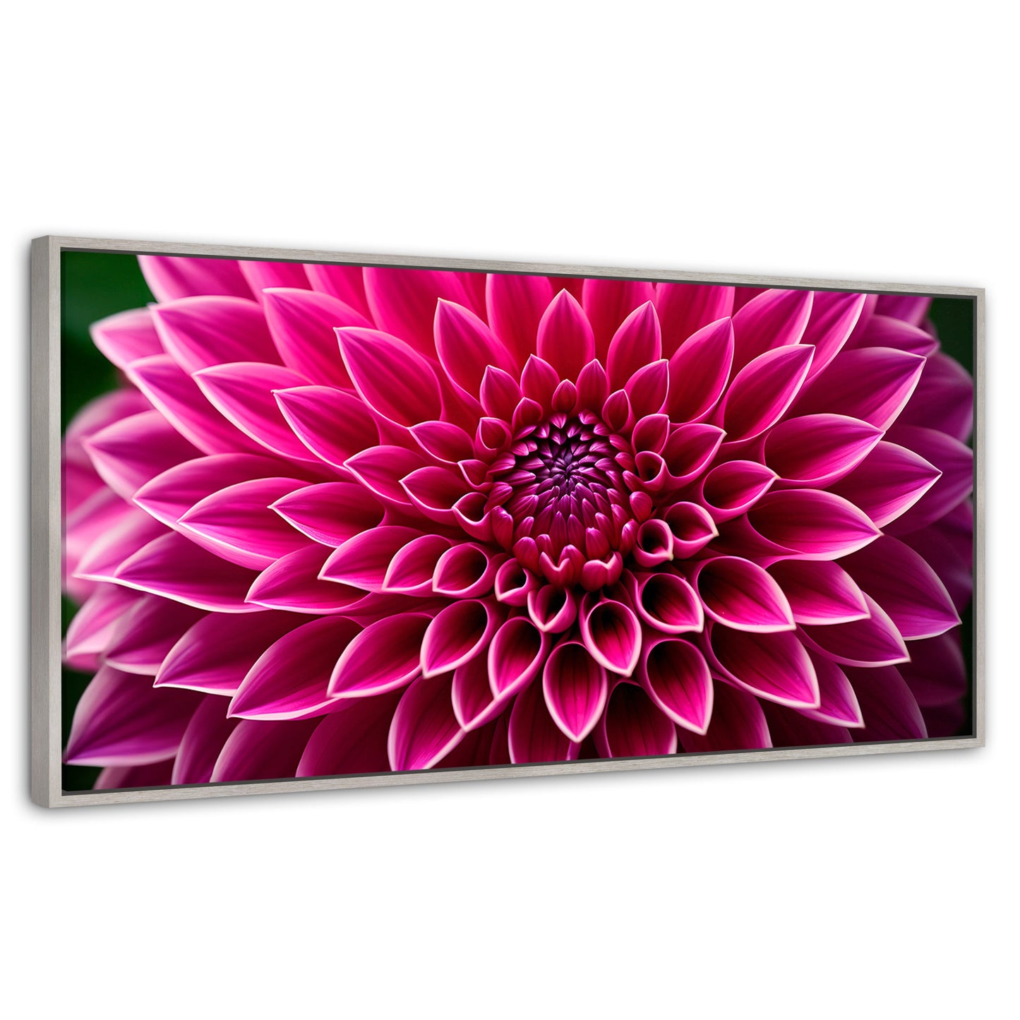 Cuadros Decorativos Canvas Revolution | Dalia Magenta Flor | Panoramico | Portada | Marco Plateado