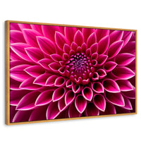 Cuadros Decorativos Canvas Revolution | Dalia Magenta Flor | Rectangular | Portada | Marco Madera