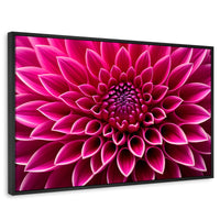 Cuadros Decorativos Canvas Revolution | Dalia Magenta Flor | Rectangular | Portada | Marco Negro