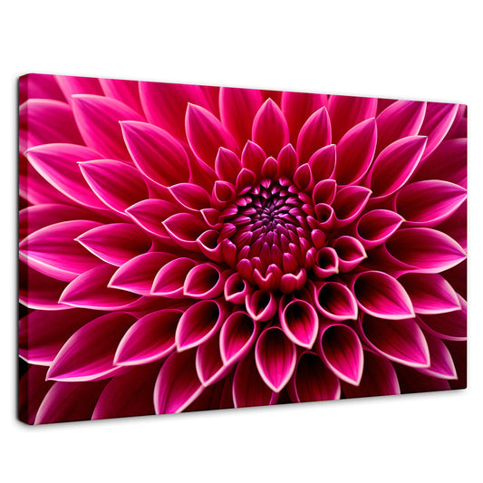 Cuadros Decorativos Canvas Revolution | Dalia Magenta Flor | Rectangular | Portada | Marco SinMarco