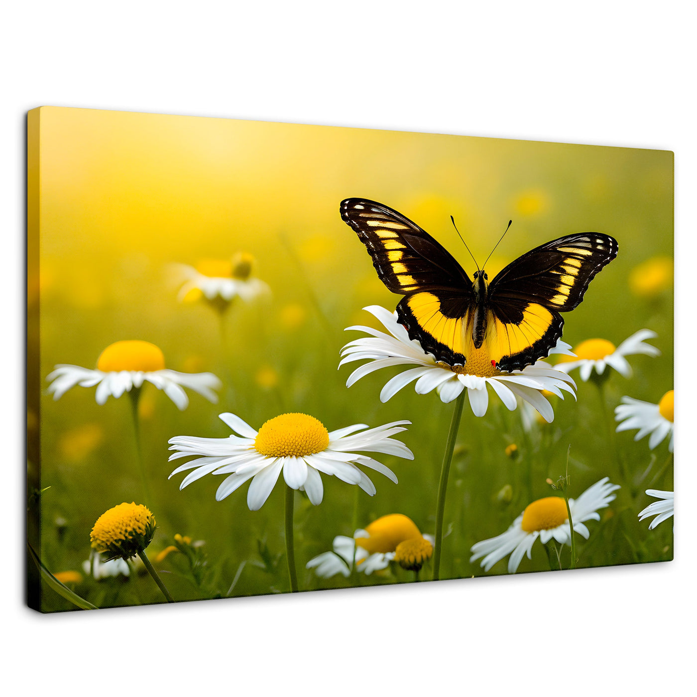 Cuadros Decorativos Canvas Revolution | Danza Entre Flores | Rectangular | Portada | Marco SinMarco
