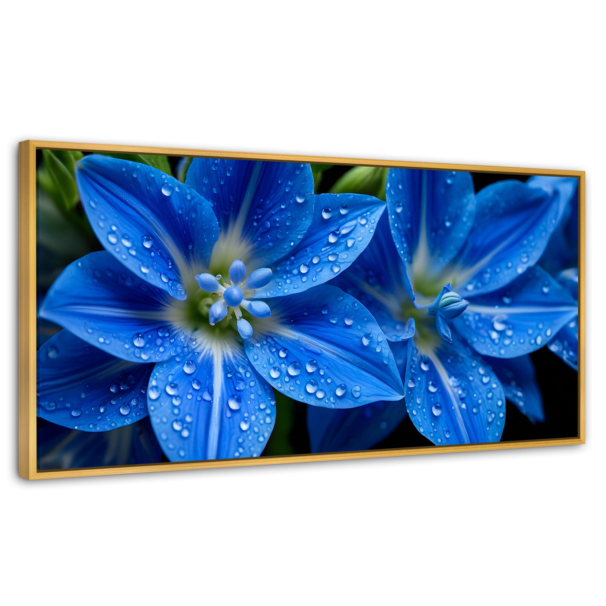 Cuadros Decorativos Canvas Revolution | Delphinium Azul | Panoramico | Portada | Marco Dorado