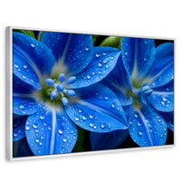 Cuadros Decorativos Canvas Revolution | Delphinium Azul | Rectangular | Portada | Marco Blanco