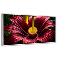 Cuadros Decorativos Canvas Revolution | Eterna Flor Extrana | Panoramico | Portada