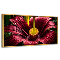 Cuadros Decorativos Canvas Revolution | Eterna Flor Extrana | Panoramico | Portada
