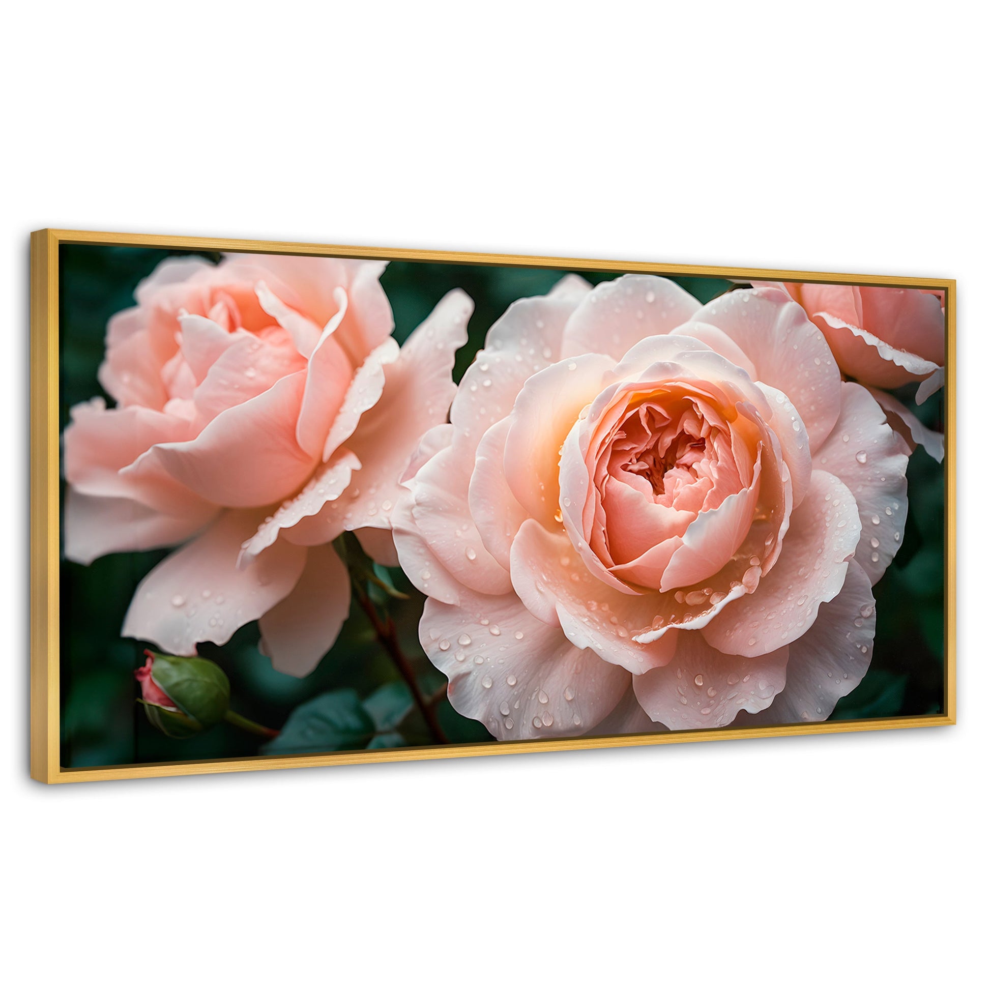 Cuadros Decorativos Canvas Revolution | Eterna Rosa Inglesa | Panoramico | Portada