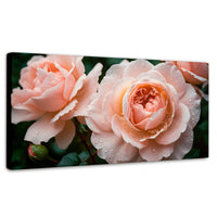 Cuadros Decorativos Canvas Revolution | Eterna Rosa Inglesa | Panoramico | Portada