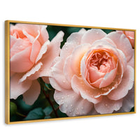 Cuadros Decorativos Canvas Revolution | Eterna Rosa Inglesa | Rectangular | Portada