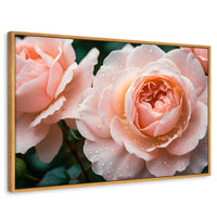 Cuadros Decorativos Canvas Revolution | Eterna Rosa Inglesa | Rectangular | Portada