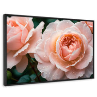 Cuadros Decorativos Canvas Revolution | Eterna Rosa Inglesa | Rectangular | Portada