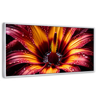 Cuadros Decorativos Canvas Revolution | Flor Del Misterio | Panoramico | Portada