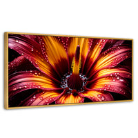 Cuadros Decorativos Canvas Revolution | Flor Del Misterio | Panoramico | Portada