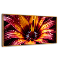 Cuadros Decorativos Canvas Revolution | Flor Del Misterio | Panoramico | Portada