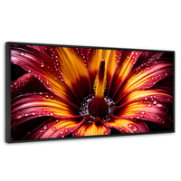 Cuadros Decorativos Canvas Revolution | Flor Del Misterio | Panoramico | Portada
