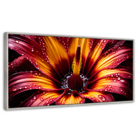 Cuadros Decorativos Canvas Revolution | Flor Del Misterio | Panoramico | Portada