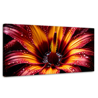 Cuadros Decorativos Canvas Revolution | Flor Del Misterio | Panoramico | Portada